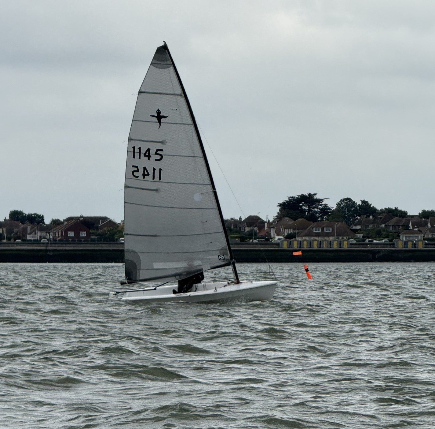 IMG_3976